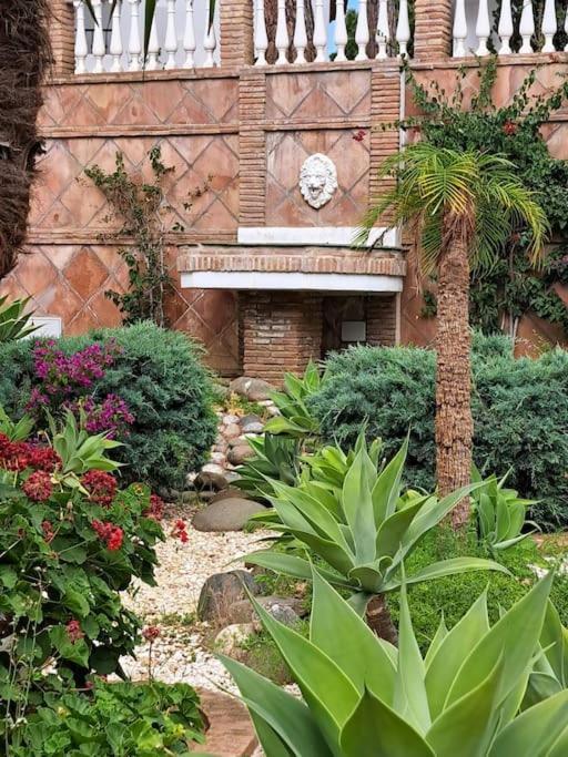 Vacaciones En Nueva Andalucia-marbella * Marbella