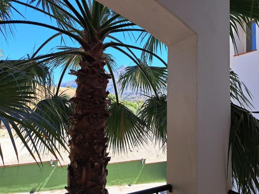Apartment Vacaciones En Nueva Andalucia-marbella Marbella