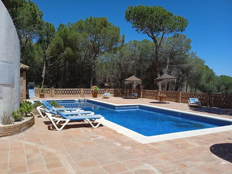 Vacaciones En Nueva Andalucia-marbella *