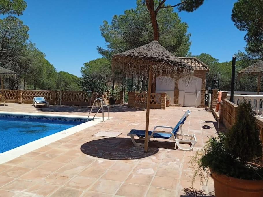 Vacaciones En Nueva Andalucia-marbella * Marbella